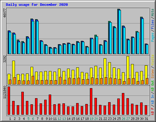 Daily usage for December 2020