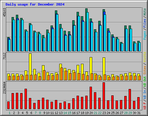 Daily usage for December 2024