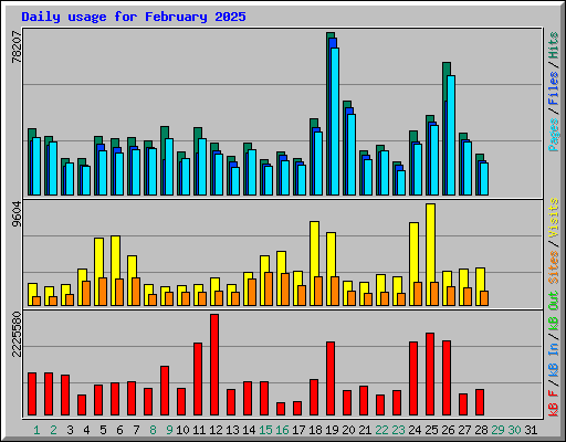 Daily usage for February 2025