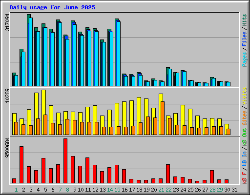 Daily usage for June 2025