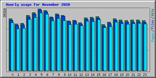 Hourly usage for November 2020