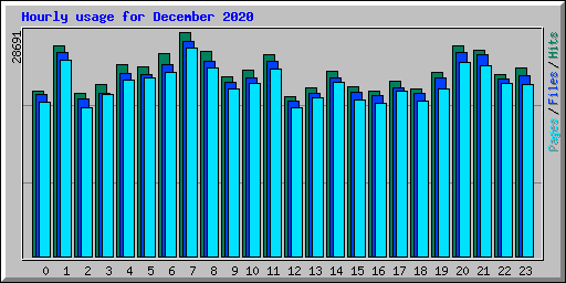 Hourly usage for December 2020