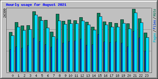 Hourly usage for August 2021