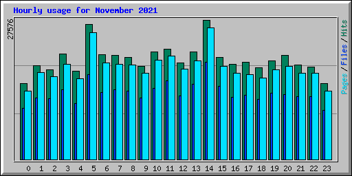 Hourly usage for November 2021