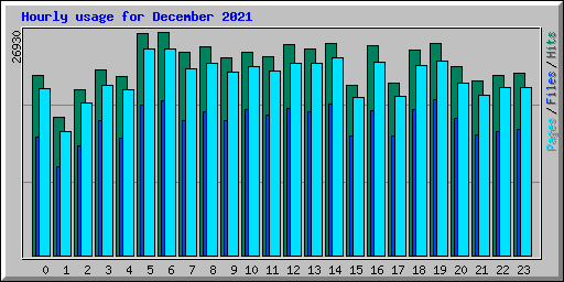 Hourly usage for December 2021