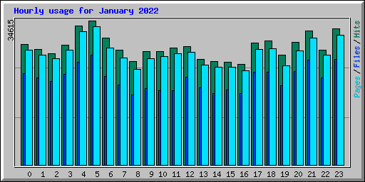 Hourly usage for January 2022