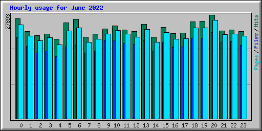 Hourly usage for June 2022