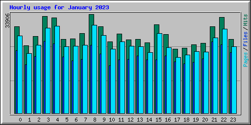 Hourly usage for January 2023