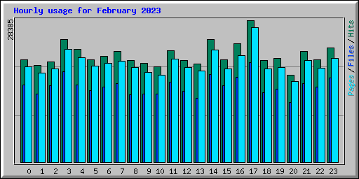 Hourly usage for February 2023