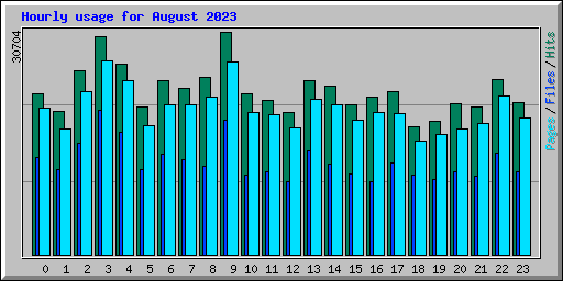 Hourly usage for August 2023