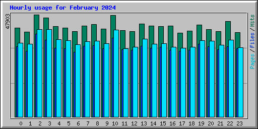 Hourly usage for February 2024