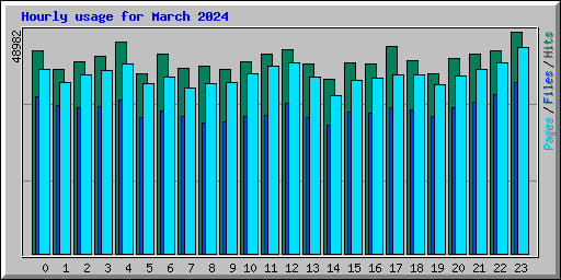 Hourly usage for March 2024