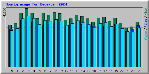 Hourly usage for December 2024