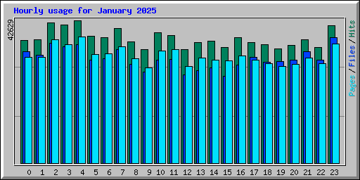 Hourly usage for January 2025