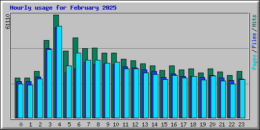 Hourly usage for February 2025