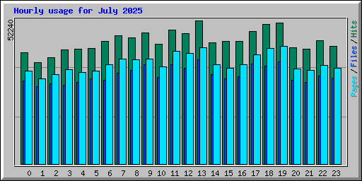 Hourly usage for July 2025