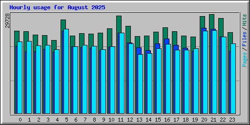 Hourly usage for August 2025