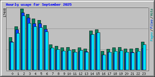 Hourly usage for September 2025