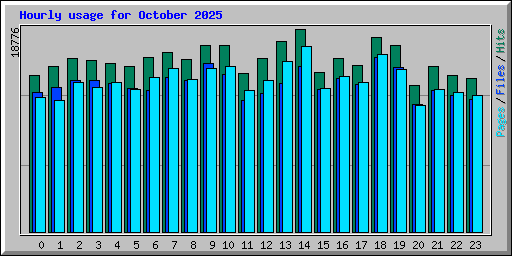 Hourly usage for October 2025