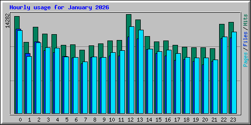 Hourly usage for January 2026