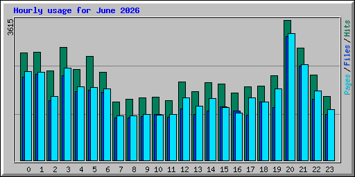 Hourly usage for June 2026