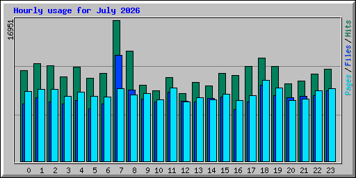 Hourly usage for July 2026