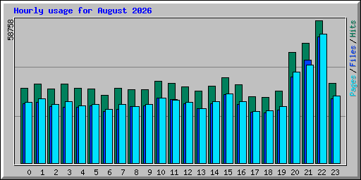 Hourly usage for August 2026