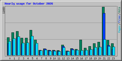 Hourly usage for October 2026